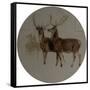 Deer in a Landscape (Studies of Deer) (Oil on Canvas)-Edwin Landseer-Framed Stretched Canvas