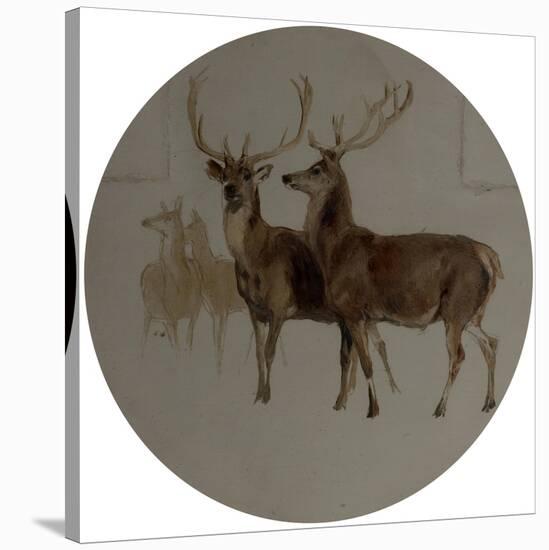 Deer in a Landscape (Studies of Deer) (Oil on Canvas)-Edwin Landseer-Stretched Canvas