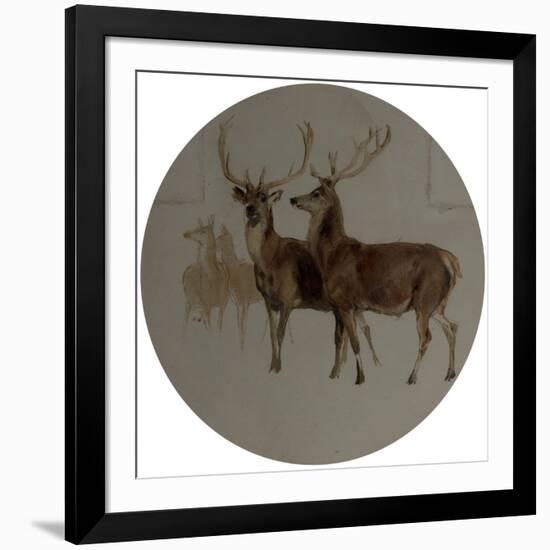 Deer in a Landscape (Studies of Deer) (Oil on Canvas)-Edwin Landseer-Framed Giclee Print