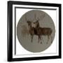 Deer in a Landscape (Studies of Deer) (Oil on Canvas)-Edwin Landseer-Framed Giclee Print