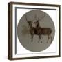 Deer in a Landscape (Studies of Deer) (Oil on Canvas)-Edwin Landseer-Framed Giclee Print