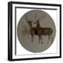 Deer in a Landscape (Studies of Deer) (Oil on Canvas)-Edwin Landseer-Framed Giclee Print