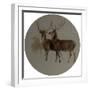 Deer in a Landscape (Studies of Deer) (Oil on Canvas)-Edwin Landseer-Framed Giclee Print