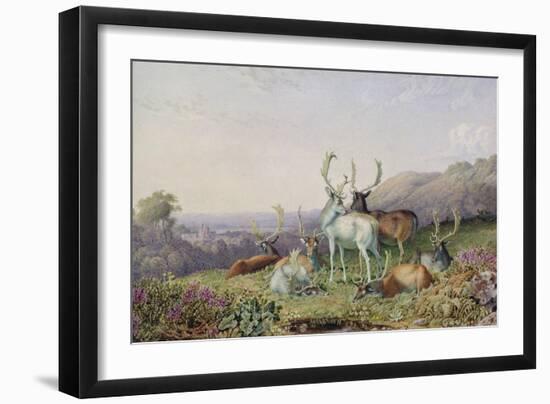 Deer in a Landscape-George Barret the Younger-Framed Giclee Print