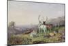 Deer in a Landscape-George Barret the Younger-Mounted Giclee Print