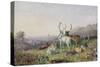 Deer in a Landscape-George Barret the Younger-Stretched Canvas