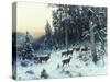 Deer in a Snowy Wooded Landscape-Arthur Julius Thiele-Stretched Canvas