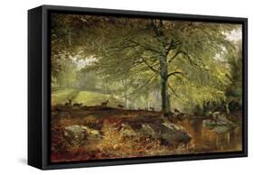 Deer in a Wood-Joseph Adam-Framed Stretched Canvas