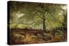 Deer in a Wood-Joseph Adam-Stretched Canvas