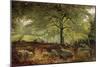 Deer in a Wood-Joseph Adam-Mounted Giclee Print