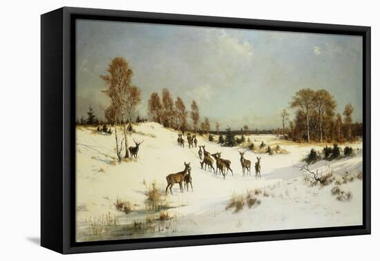 Deer in a Wooded Winter Landscape-Julius Arthur Thiele-Framed Stretched Canvas