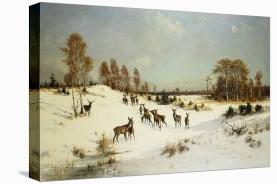 Deer in a Wooded Winter Landscape-Julius Arthur Thiele-Stretched Canvas