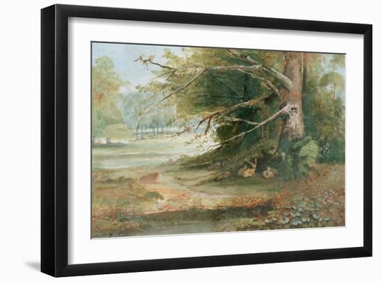 Deer in a Woodland Glade-null-Framed Giclee Print