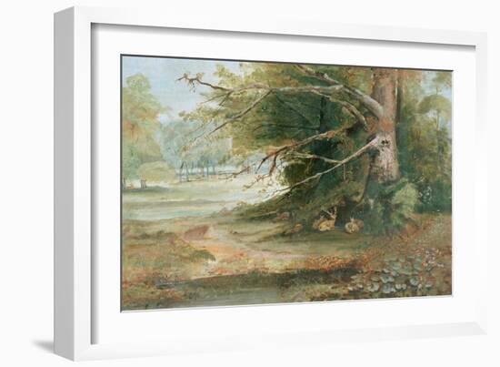 Deer in a Woodland Glade-null-Framed Giclee Print