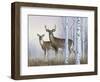 Deer in Birch Woods-Rusty Frentner-Framed Giclee Print