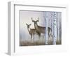 Deer in Birch Woods-Rusty Frentner-Framed Giclee Print