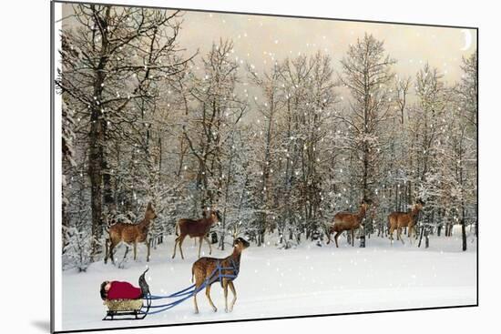 Deer In Forest-Nancy Tillman-Mounted Art Print