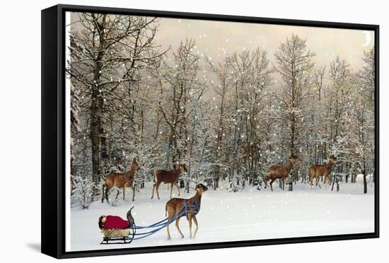 Deer In Forest-Nancy Tillman-Framed Stretched Canvas