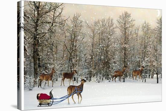 Deer In Forest-Nancy Tillman-Stretched Canvas