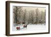 Deer In Forest-Nancy Tillman-Framed Art Print