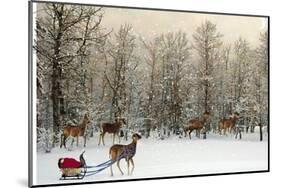 Deer In Forest-Nancy Tillman-Mounted Art Print