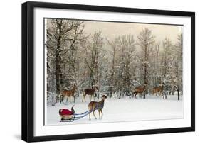 Deer In Forest-Nancy Tillman-Framed Art Print