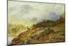 Deer in Highland Landscape by Charles Stuart-Charles Stuart-Mounted Giclee Print