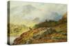 Deer in Highland Landscape by Charles Stuart-Charles Stuart-Stretched Canvas