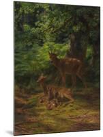 Deer in Repose, 1867-Rosa Bonheur-Mounted Giclee Print