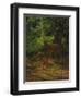 Deer in Repose, 1867-Rosa Bonheur-Framed Giclee Print