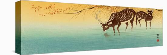 Deer in Shallow Water-Koson Ohara-Stretched Canvas