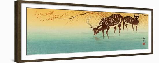 Deer in Shallow Water-Koson Ohara-Framed Giclee Print