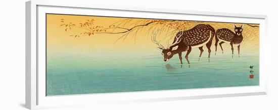 Deer in Shallow Water-Koson Ohara-Framed Giclee Print