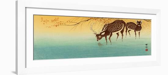 Deer in Shallow Water-Koson Ohara-Framed Giclee Print