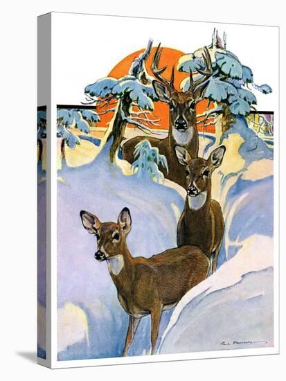 "Deer in Snow,"February 7, 1931-Paul Bransom-Stretched Canvas