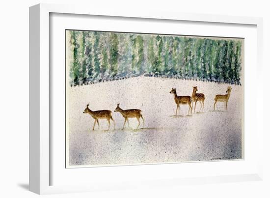 Deer in Snow-Suzi Kennett-Framed Giclee Print