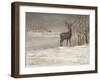 Deer in Snow-Mary Miller Veazie-Framed Giclee Print