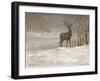 Deer in Snow-Mary Miller Veazie-Framed Giclee Print