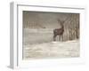 Deer in Snow-Mary Miller Veazie-Framed Giclee Print