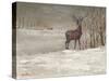 Deer in Snow-Mary Miller Veazie-Stretched Canvas