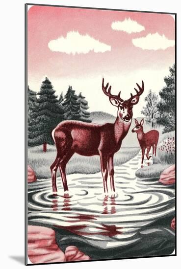 Deer in Stream-null-Mounted Giclee Print