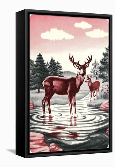 Deer in Stream-null-Framed Stretched Canvas