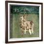 Deer In The Field-OnRei-Framed Art Print