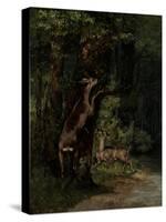 Deer in the Forest, 1868-Gustave Courbet-Stretched Canvas