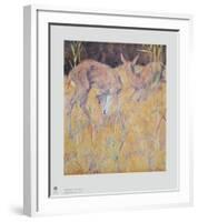 Deer in the Reed-Franz Marc-Framed Collectable Print