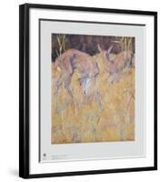 Deer in the Reed-Franz Marc-Framed Collectable Print