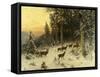 Deer in Winter Wooded Landscape-Arthur Julius Thiele-Framed Stretched Canvas