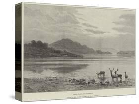 Deer Island, Loch Lomond, Picture in the Dudley Gallery-Walter Severn-Stretched Canvas