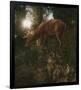 Deer Light-Steve Hunziker-Framed Premium Giclee Print