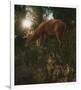 Deer Light-Steve Hunziker-Framed Premium Giclee Print